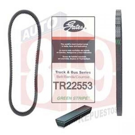 CORREA TR22553 HINO 300 WU 88594-E0190 SZ910-45322