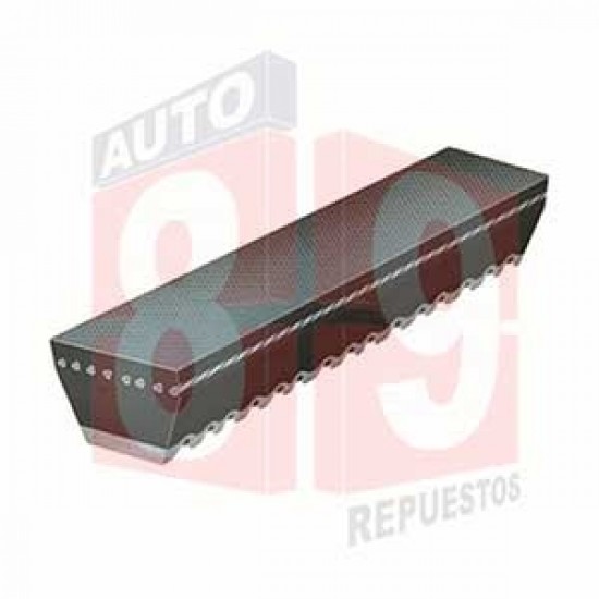 CORREA AUTO V V13X855 17340